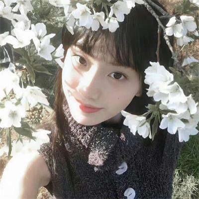 鲲吞天下之掌门归来